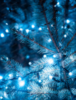 Новогодние корпоративы в ресторане "Три грузина"