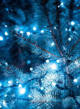 Новогодние корпоративы в ресторане "Три грузина"