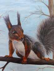 Выставка "Тихая гавань Нижнего Амура"