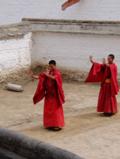 «Временно. Начинать день именно так». Выставка фотографий Дмитрия Старицына