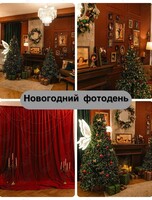 Новогодний фотодень