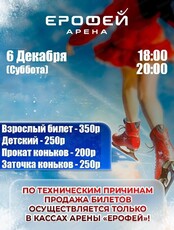Катание на коньках в Арене "Ерофей"