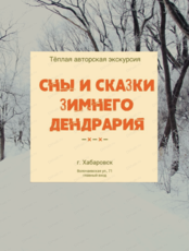 Экскурсия с таёжным чаем "Сны и сказки зимнего Дендрария"