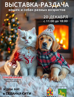 Благотворительная выставка-раздача животных