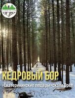 Джип-тур в Кедровый бор + Екатерининские пещеры + скала Орёл