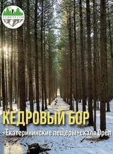 Джип-тур в Кедровый бор + Екатерининские пещеры + скала Орёл
