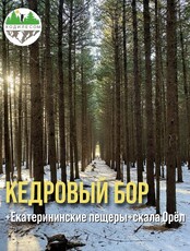 Джип-тур в Кедровый бор + Екатерининские пещеры + скала Орёл