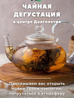 Чайная дегустация