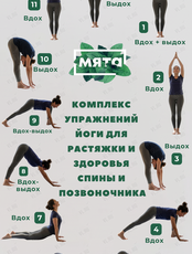 Практика «Сурья Намаскар»