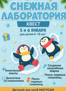 Квест "Снежная лаборатория"
