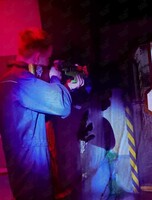 Квест «Чужой»