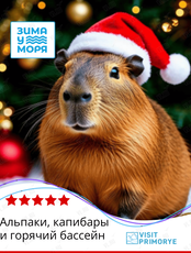 Тур «Альпаки, капибары и горячий бассейн»