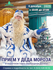Прием у Деда Мороза