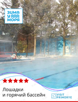 Тур «Лошадки и горячий бассейн»