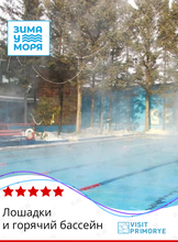 Тур «Лошадки и горячий бассейн»