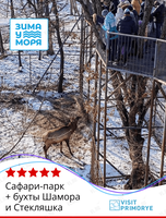 Тур «Сафари-парк + бухты Шамора и Стекляшка»