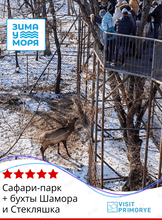 Тур «Сафари-парк + бухты Шамора и Стекляшка»