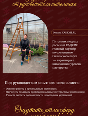 Новогодние мастер-классы по созданию композиций из нобилиса