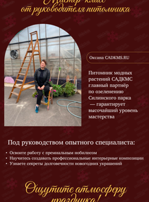 Новогодние мастер-классы по созданию композиций из нобилиса