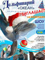 Дельфинарий. Новогоднее шоу