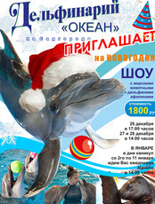 Дельфинарий. Новогоднее шоу