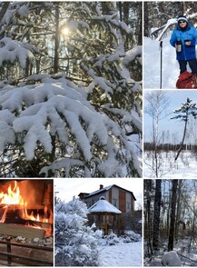 Прогулки по Киинскому лесу