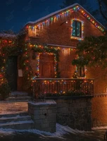 Новогодние экскурсии