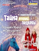 Увлекательная новогодняя программа «Тайна лунной подковы»