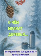 Зимняя экскурсия с таёжным чаем "О чём молчат деревья?"