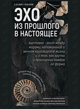 Выставка «Эхо из прошлого в настоящее»