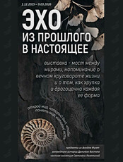 Выставка «Эхо из прошлого в настоящее»
