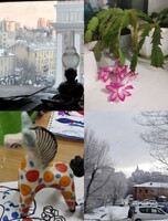 Мастер-классы от Натальи Лепетухиной