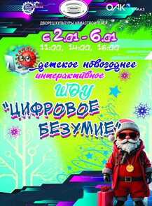 Детское интерактивное новогоднее шоу "Цифровое безумие"