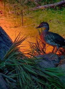 Обзорные экскурсии по "Лабиринтам Подземья"