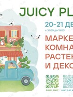 Маркет комнатных растений и декора Juicy Plant