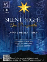 Концерт Silent Night. Эхо рождества