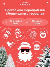 Ярмарка «Новогодний городок»