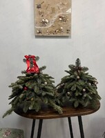 Мастер-класс "Ёлочка из нобилиса"