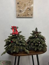 Мастер-класс "Ёлочка из нобилиса"