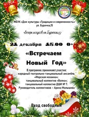 Концертная программа «Встречаем Новый год»