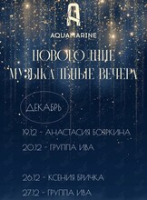 Новогодние вечера