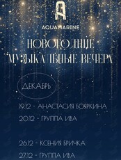 Новогодние вечера