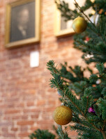 Познавательная программа «Новогодняя сказка, написанная пером»