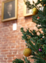 Познавательная программа «Новогодняя сказка, написанная пером»