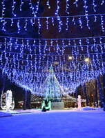 Церемония открытия новогоднего городка на Амурском бульваре