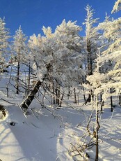 Восхождение на Фалазу. Кольцевой маршрут
