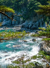 Тур «Трекинг по заповеднику (мыс Острый, бухты Нерпичья, Астафьева)»