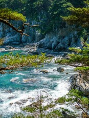 Тур «Трекинг по заповеднику (мыс Острый, бухты Нерпичья, Астафьева)»