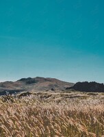 Тур «Треккинг по полуострову Краббе»