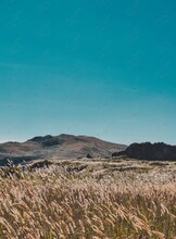 Тур «Треккинг по полуострову Краббе»